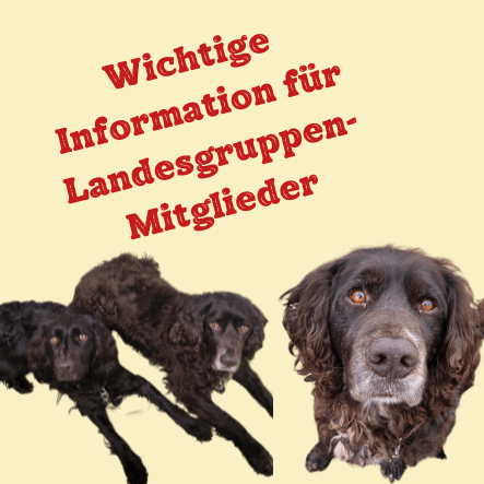 Wichtig für VDW, LG Sachsen&nbsp;Mitglieder