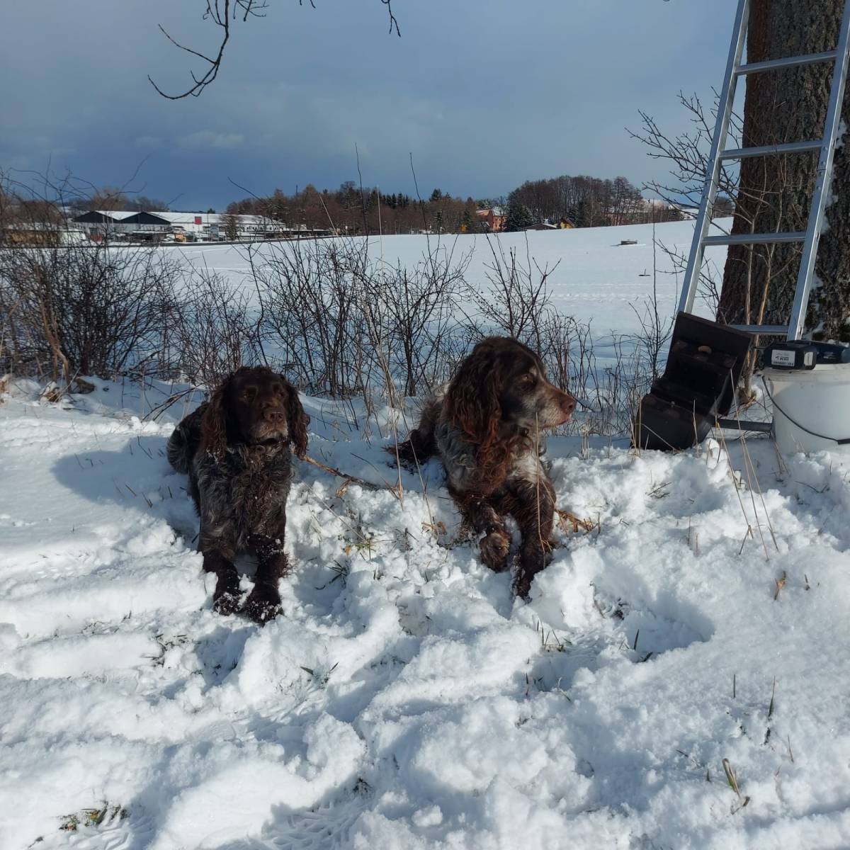 Vorankündigung: Landesgruppenversammlung 2026